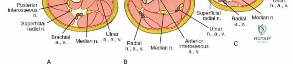 Clinical Image