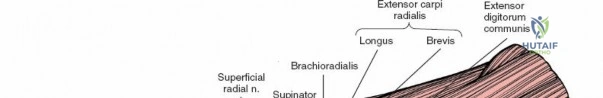 Clinical Image