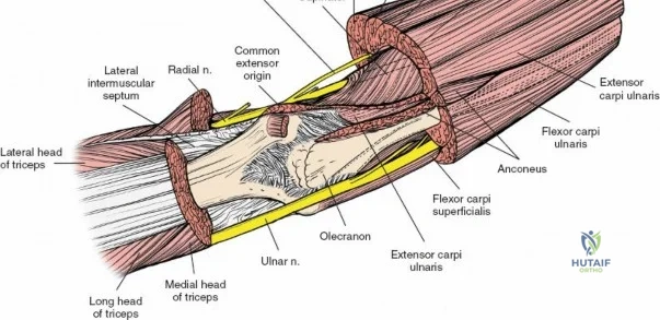 Clinical Image
