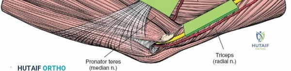 Clinical Image