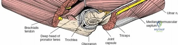 Clinical Image