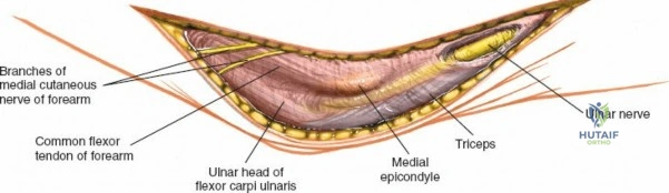 Clinical Image