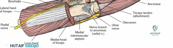 Clinical Image
