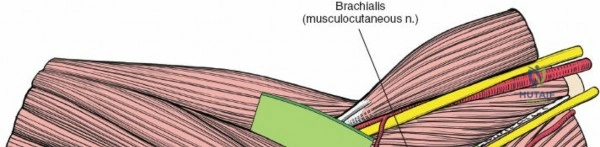 Clinical Image