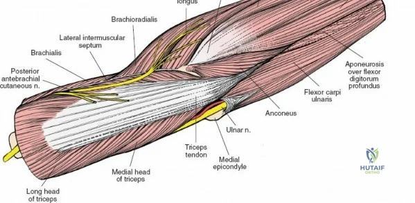 Clinical Image