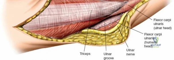 Clinical Image