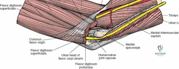 Clinical Image