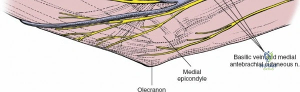 Clinical Image