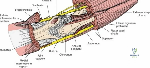 Clinical Image