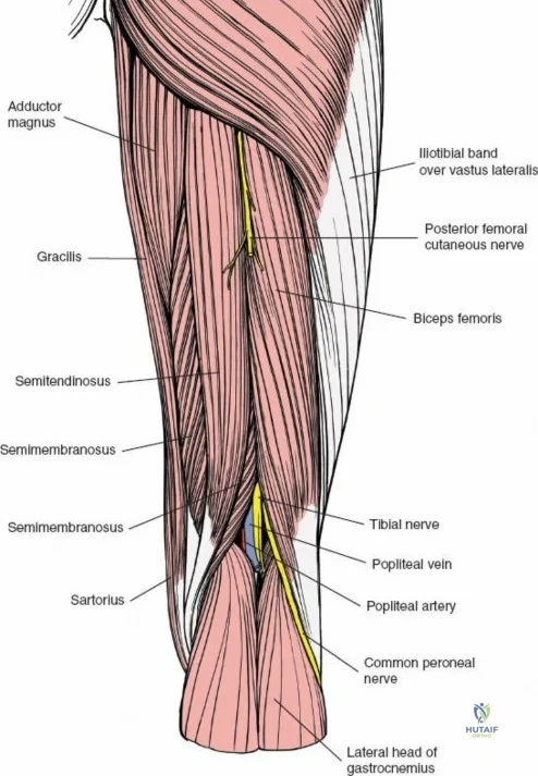 Clinical Image