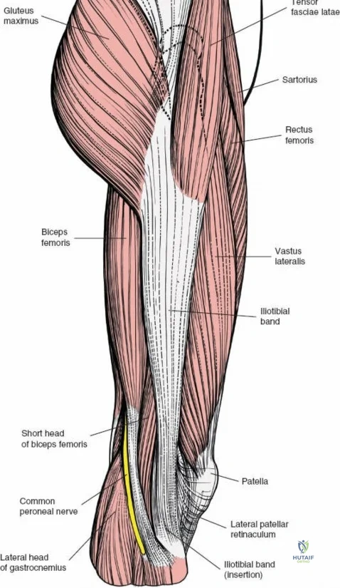 Clinical Image