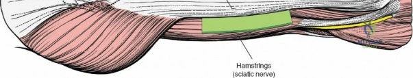 Clinical Image