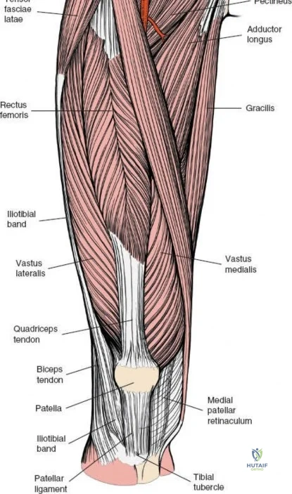 Clinical Image