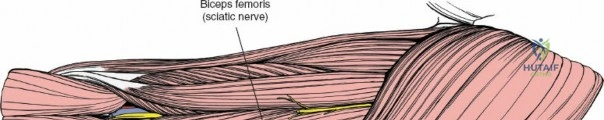 Clinical Image
