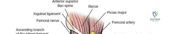 Clinical Image