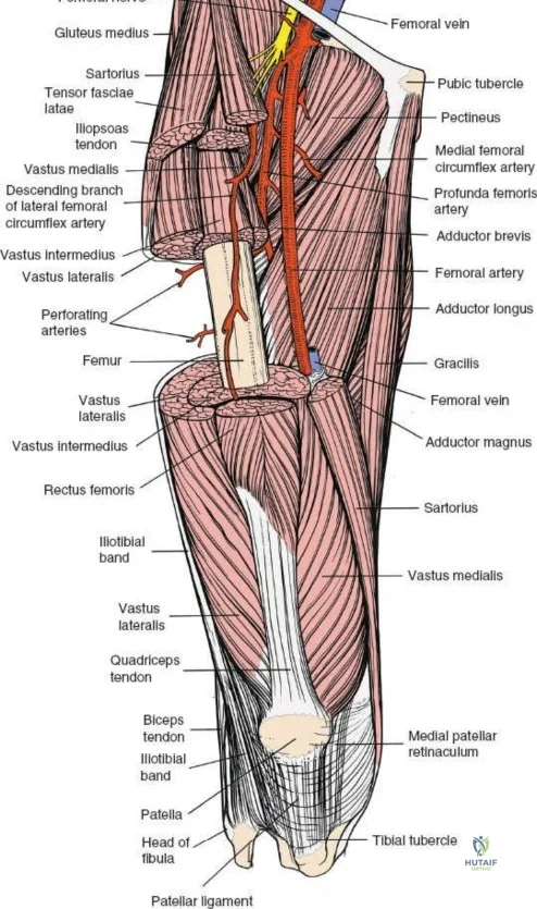 Clinical Image
