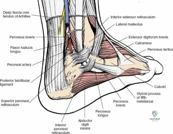 Clinical Image