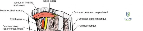 Clinical Image