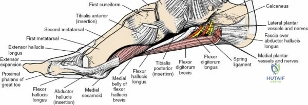 Clinical Image