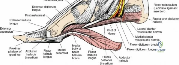 Clinical Image