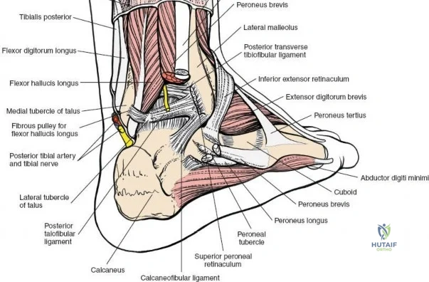 Clinical Image