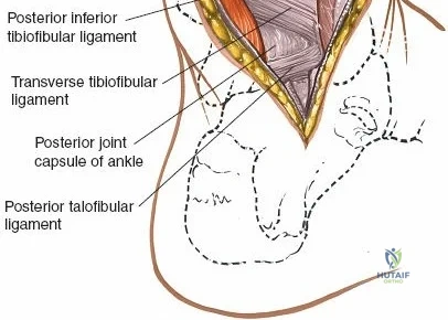 Clinical Image