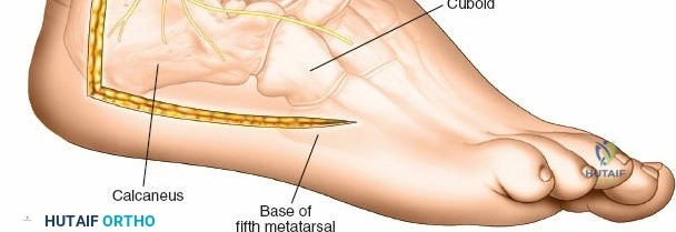 Clinical Image