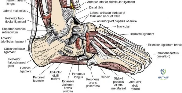 Clinical Image