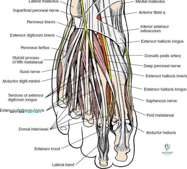 Clinical Image
