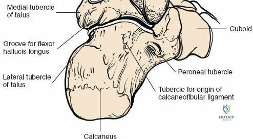 Clinical Image