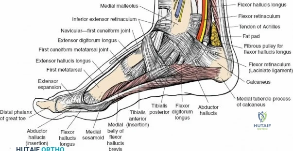 Clinical Image