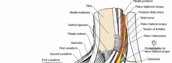 Clinical Image