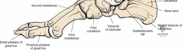 Clinical Image