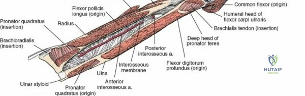 Clinical Image