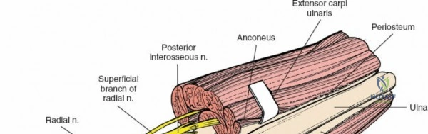 Clinical Image