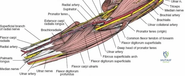 Clinical Image