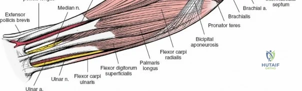 Clinical Image