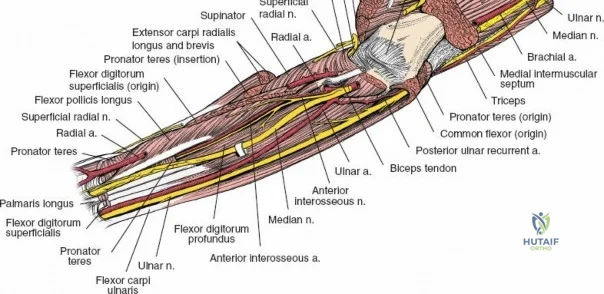 Clinical Image