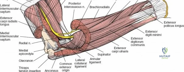 Clinical Image
