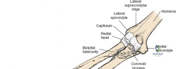 Clinical Image