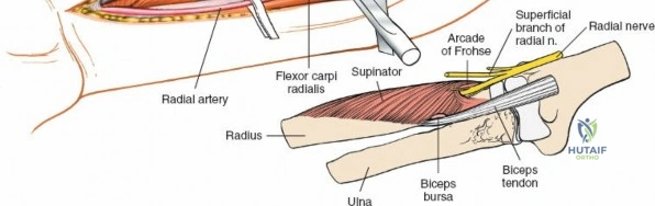 Clinical Image