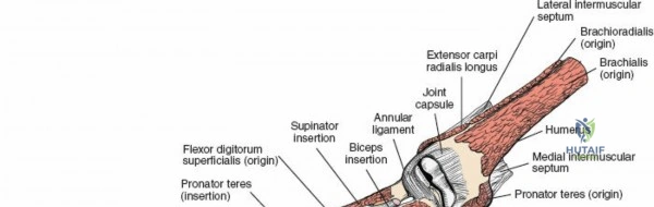 Clinical Image