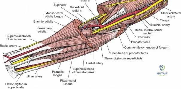 Clinical Image