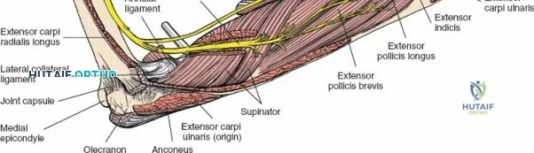Clinical Image