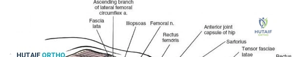 Clinical Image