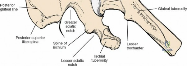 Clinical Image