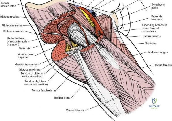 Clinical Image