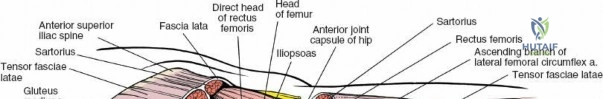 Clinical Image