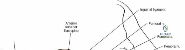 Clinical Image