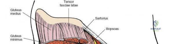 Clinical Image